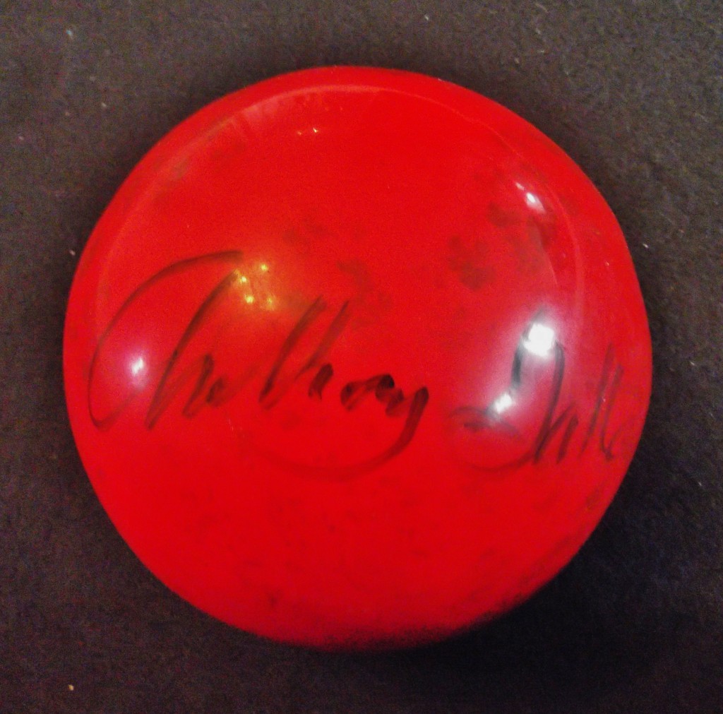 GattoRedBall